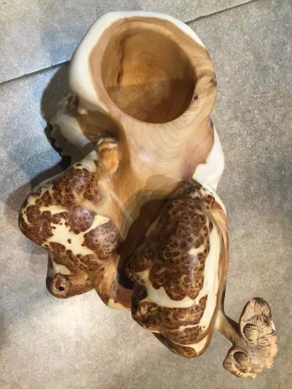 四川苍溪县加快果园机械推广应用‘BJL平台集团’(图2) BJL平台集团