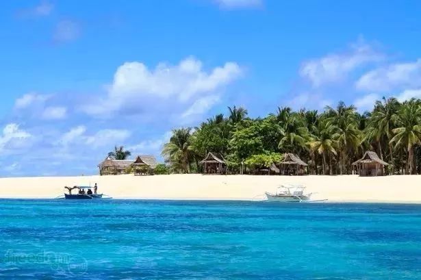 “BJL平台”花生多少钱一斤?2018年下半年花生行情预测