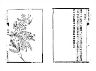 “BJL平台”2018年6月开始,这五类村民将会被禁止盖房!