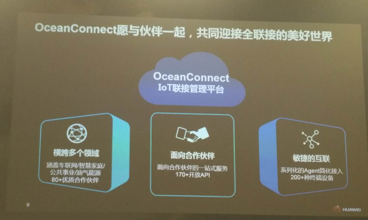 福建省第一个地理标志行业专业协会成立-BJL平台(图1) BJL平台集团