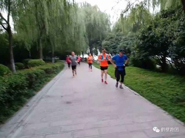 BJL平台_终止重大资产重组 ST椰岛就上交所问询进行回应(图1) BJL平台