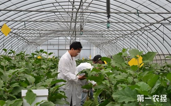 送餐员1个月连遭3次差评,喝老鼠药自杀‘BJL平台集团’(图3) BJL平台集团