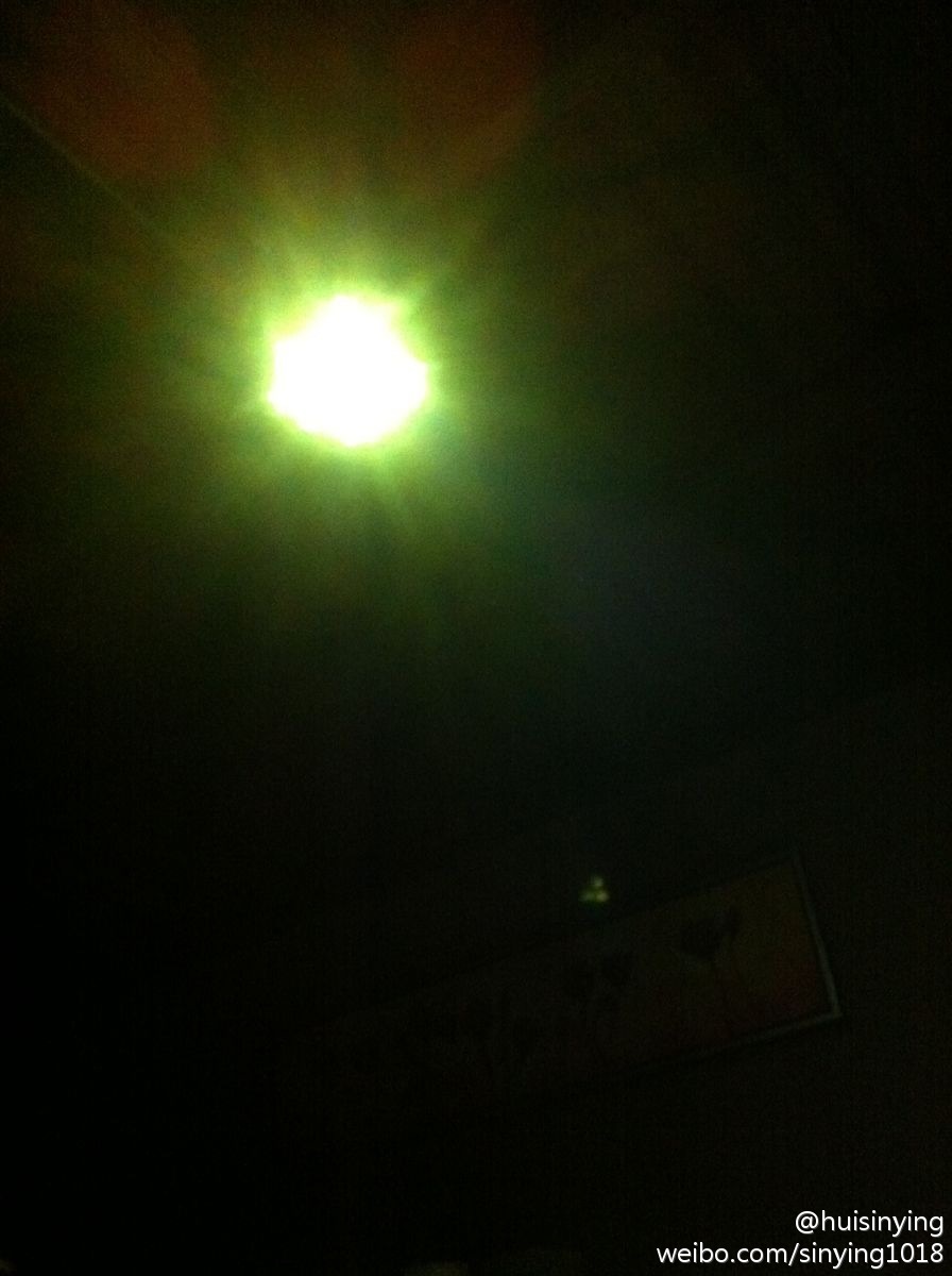 BJL平台集团-现在娃娃菜批发价多少钱一斤?怎么种植?适合几月种?(图3) BJL平台集团