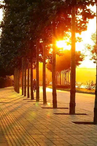 2019年国家将实施农村“三免三补”政策,关于“三免三补”你都了解吗?|BJL平