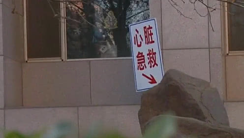 《NBALive19》将能够允许玩家创造女性球员,共进退|BJL平台(图2) BJL平台