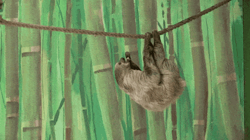 
搞笑GIF段子：论辅助角色的重要性“BJL平台集团”(图9)