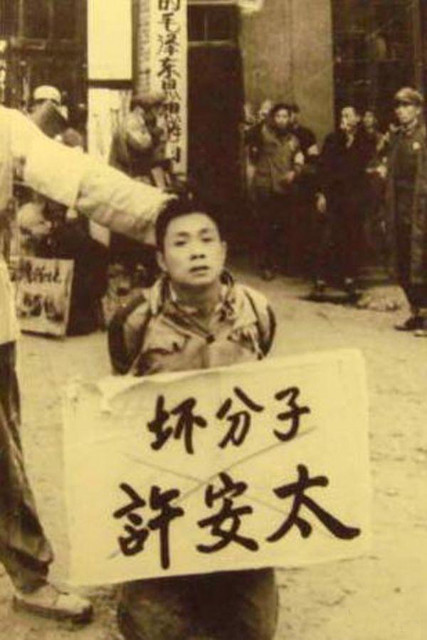 BJL平台_6月28日全国生猪价格行情:整体趋稳微跌,个别涨跌调整(图2) BJL平台集团