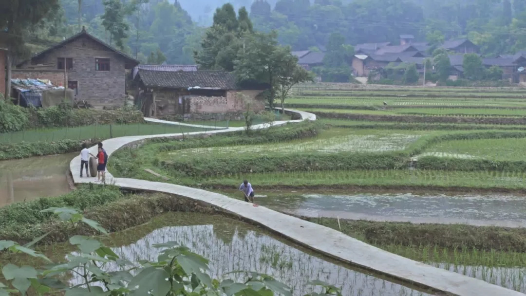 “BJL平台集团”惊蜇吃什么,看看各地风俗过惊蜇节怎么过的(图3) BJL平台集团