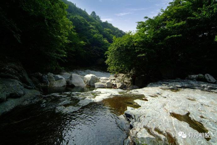 【BJL平台集团】【行情资讯】供应仍大,豆粕行情起伏不定?农民们该如何选择种植规