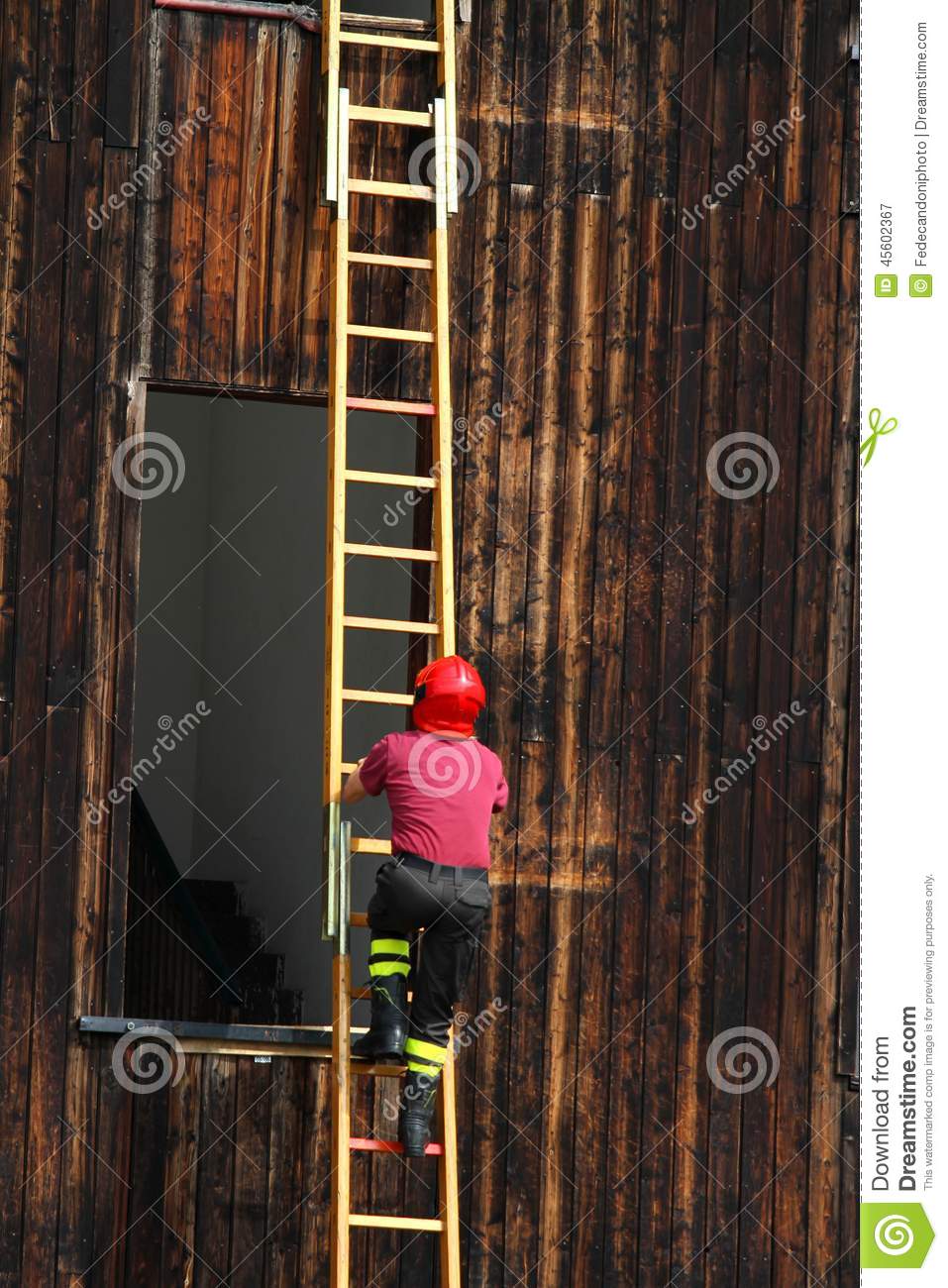 夏日清火首选菊花小心硫磺菊花茶：BJL平台