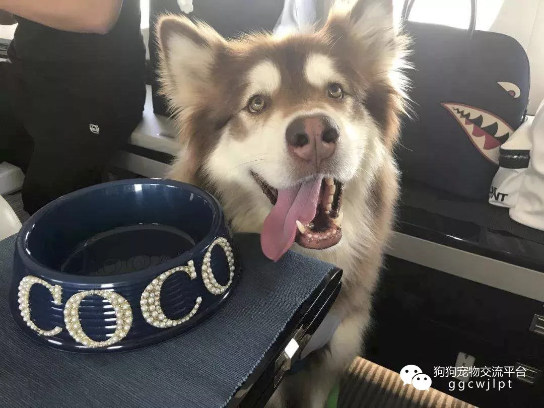 3-0!辽宁队史首拿冠军点 一数据暗示今晚赢球|BJL平台(图2) BJL平台集团