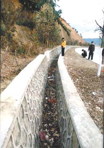 种业人眼里不能只盯着产量:BJL平台集团