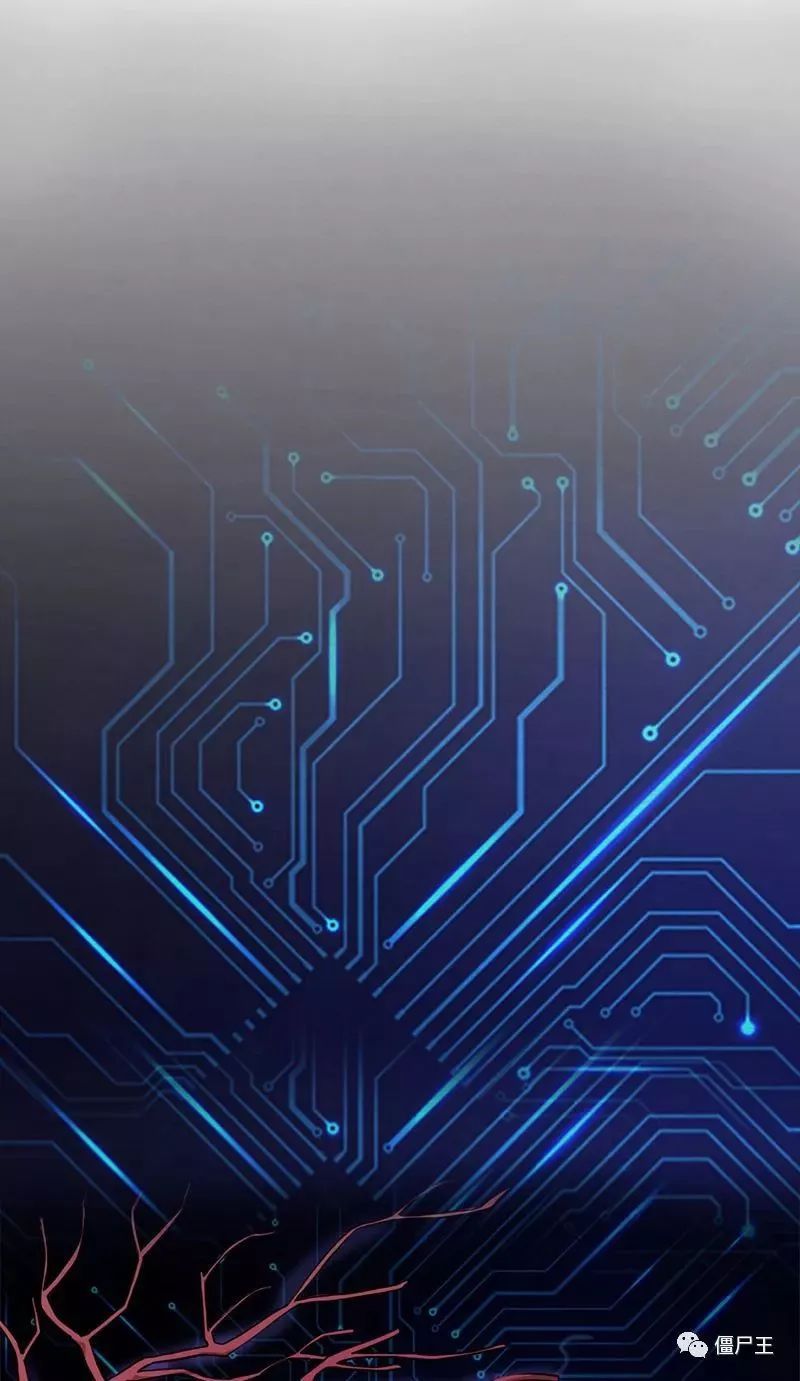 BJL平台集团:一盘酱牛肉,折服美国总统(图2) BJL平台集团