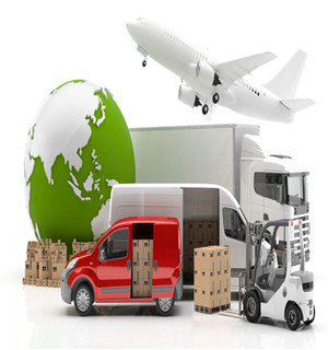 昂贵的蔬菜：无公害、绿色、有机、供港“BJL平台集团”